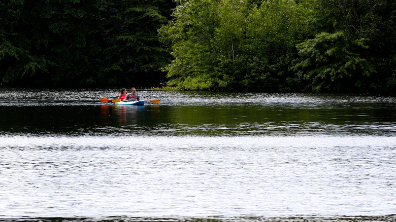 People kayaking on the lake at Turkey Swamp Park.