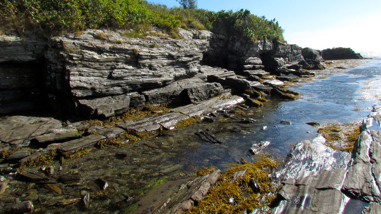 Kettle Cove State Park rocky beach in Cape Elizabeth
