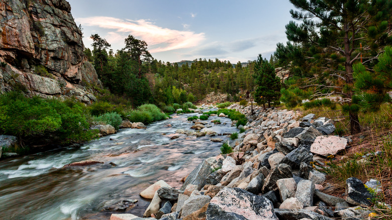 Big Thompson River flowing through National Forest near Drake