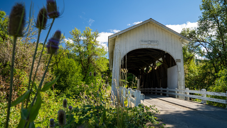 Harris Covered Bridge in Philomath, Oregon