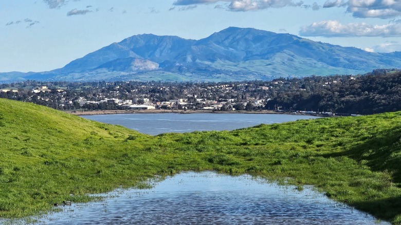 Carquinez Strait Regional Shoreline Park in California
