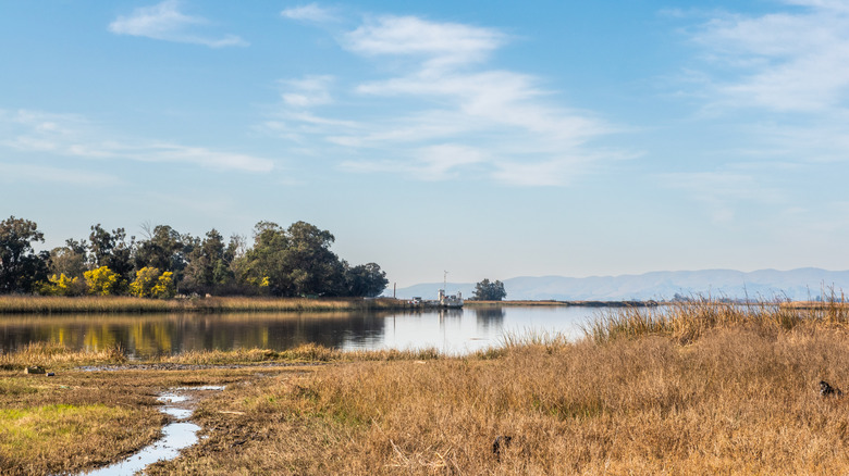 Slough on Grizzly Island in California's Suisun Marsh