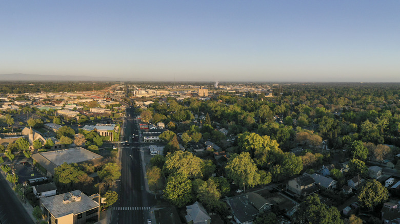 Modesto, California, skyline with trees lining its street during sunrise