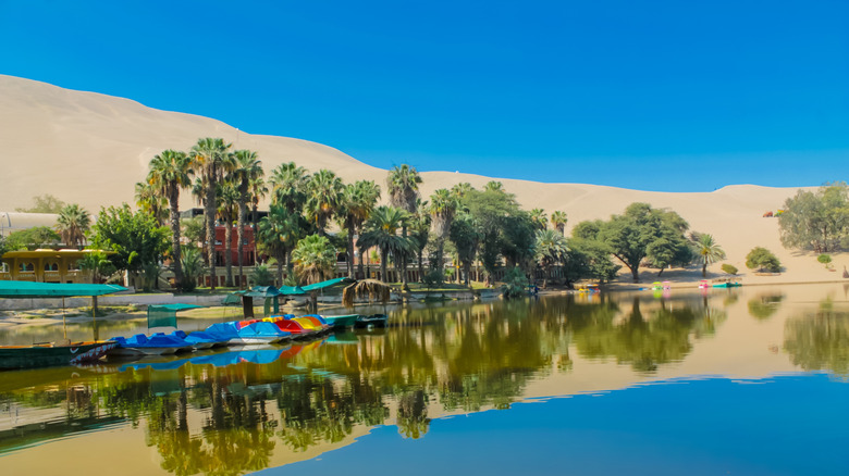 Lake surrounded by palm trees and sand dunes in Ica, Peru.