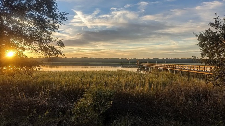 view of the marsh in Shellman Bluff, Georgia