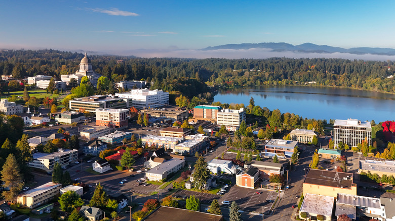 Aerial view of Olympia, Washington