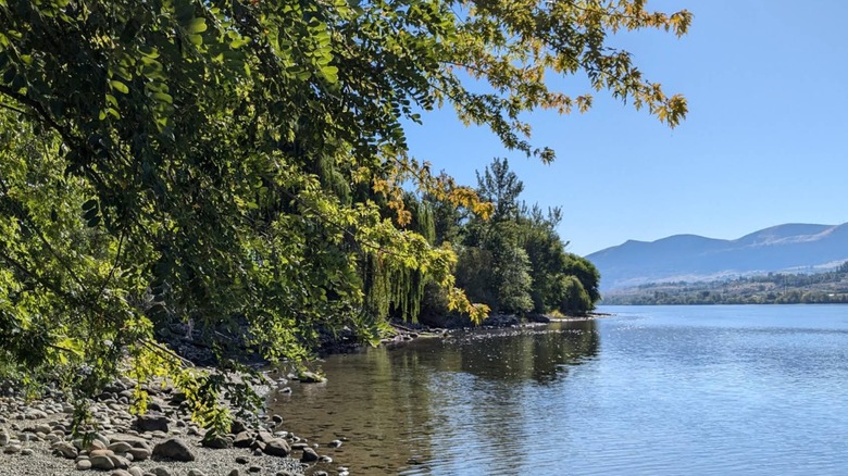 Viewing of the Columbia River and the mountains in the distance from Kirby Billingsley Hydro Park