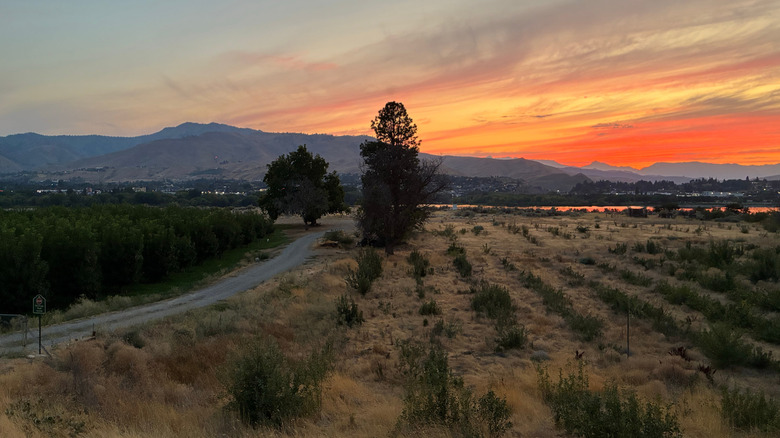 Sunset over orchards and the Columbia River in East Wenatchee, Washington