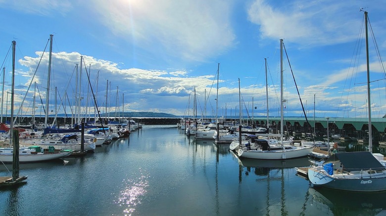 Boats in the Des Moines Marina looking out at Puget Sound and the Olympic Mountains beyond.