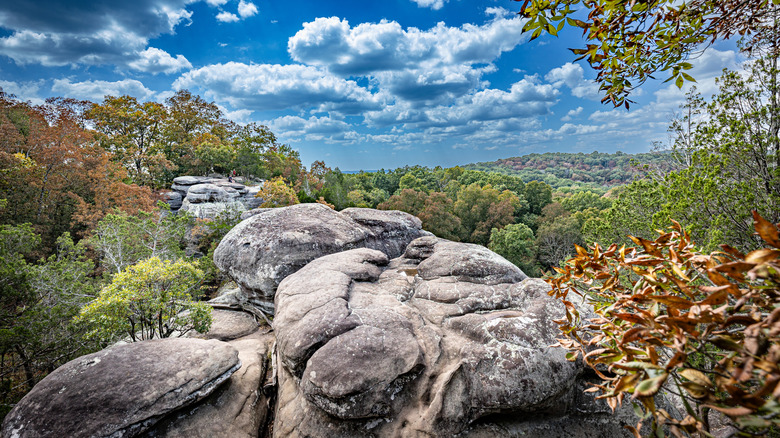 A view of the Garden of the Gods area in Shawnee National Forest.