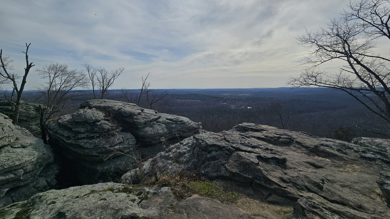 A view from Indian Point Trail in Shawnee National Forest.