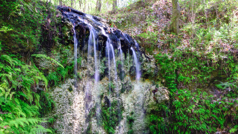 The waterfall at Falling Waters State Park, near Chipley, Florida