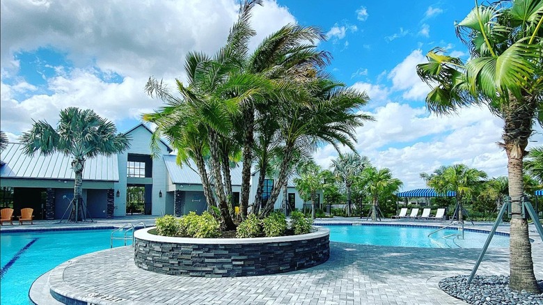 Palm trees and a pool at North River Ranch