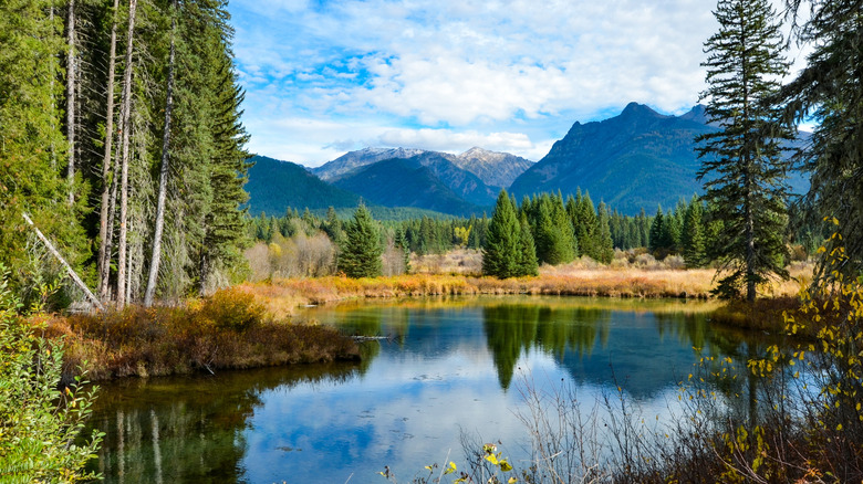 The Bull River surrounded by trees and mountains near Troy, Montana