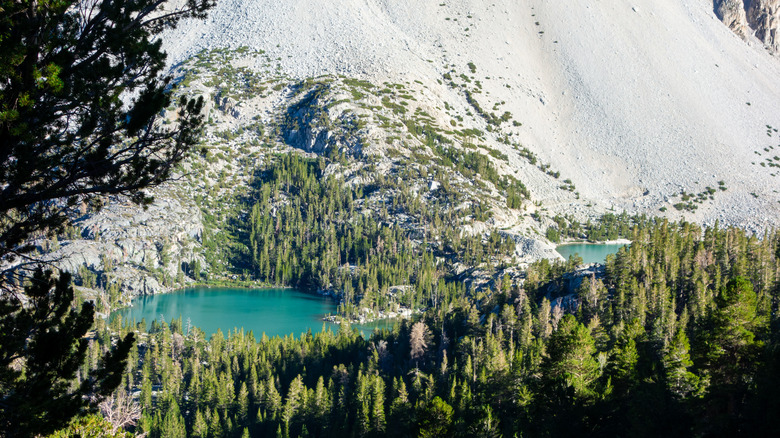 two of the Big Pine Lakes viewed from a distance surrounded by evergreens and rocks