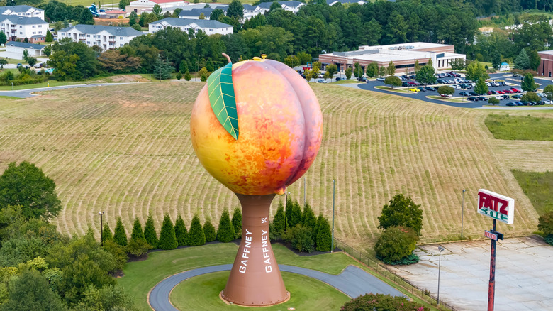 Aerial view of the Gaffney Peachoid