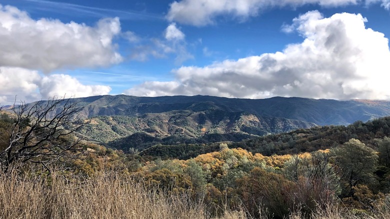 Mountains, grass, autumn trees, and a big blue cloudy sky at Wragg Ridge Preserve in Napa Valley, California