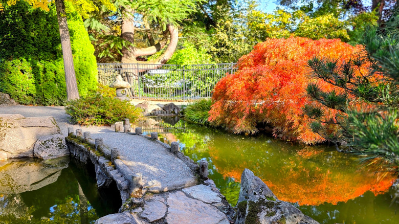 Walking trail at SeaTac's botanical garden
