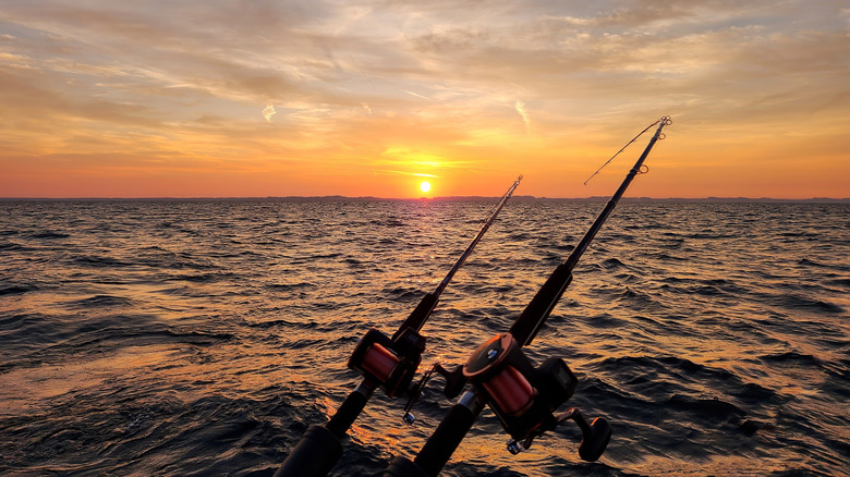 Fishing rods facing toward Lake Michigan at sunset