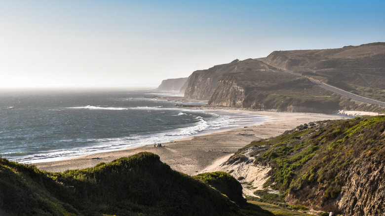High cliffs above Scott Creek Beach, California