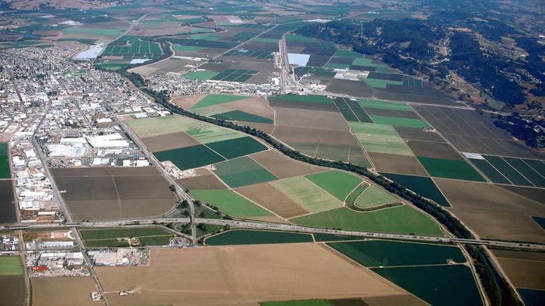 Aerial view of the Pajaro River running through farmland in Watsonville, California