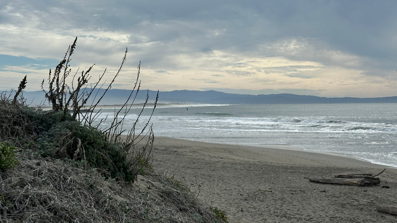 View over the sandy Pajaro Dunes and Monterey Bay, California