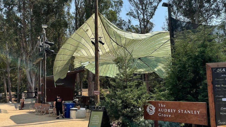Entrance to The Audrey Stanley Grove in DeLaveaga Park in Santa Cruz, California