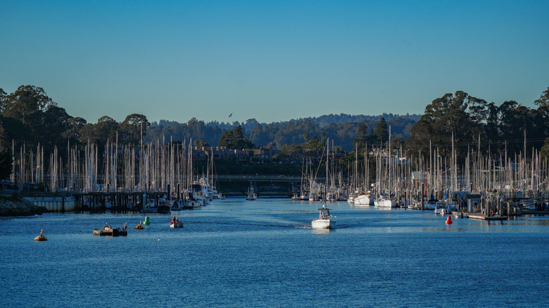 A small boat travels up the Santa Cruz Harbor with dozens of boats behind.