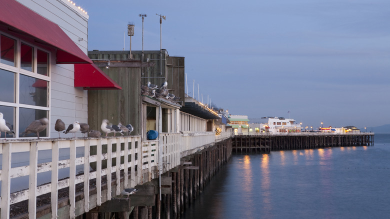 Lights from restaurants, shops, and fishing stores shine across the water from the Santa Cruz Wharf.