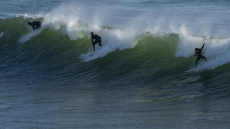 Three surfers ride a wave at Steamer Lane in Santa Cruz, California.