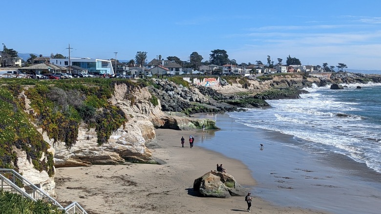 People walking along the wet sand at Mitchell's Cove during low tide.