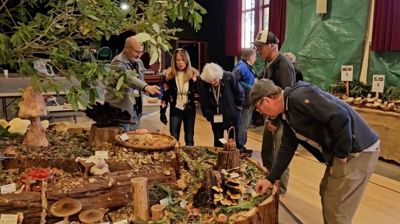 Table of mushrooms at the Santa Cruz Fungus Fair