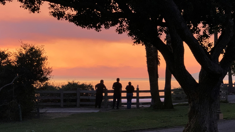 Three people watching the sunset at tree-filled Palisades Park in Santa Monica, California