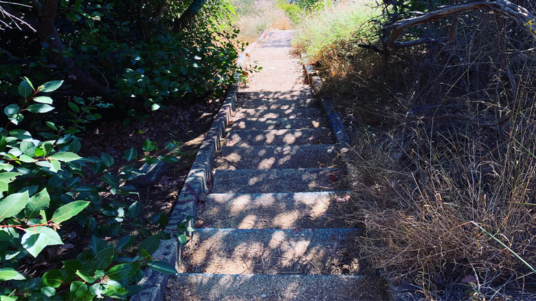 Rustic Canyon stairs descend to nature and history