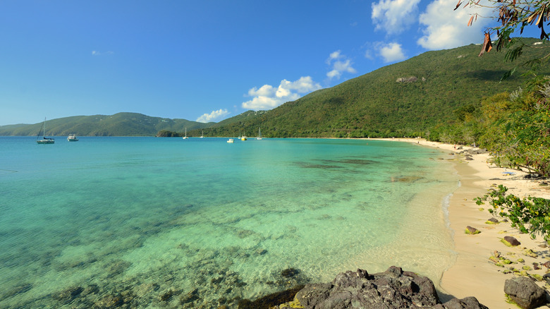 The shoreline and hills at Brewers Bay Beach in St. Thomas