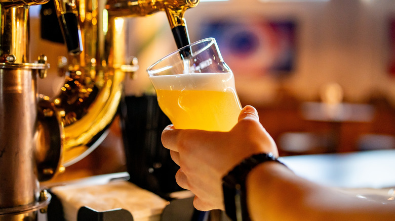 Saskatoon has a booming craft beer scene
