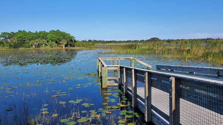 Canoe launch in Savannas Preserve State Park