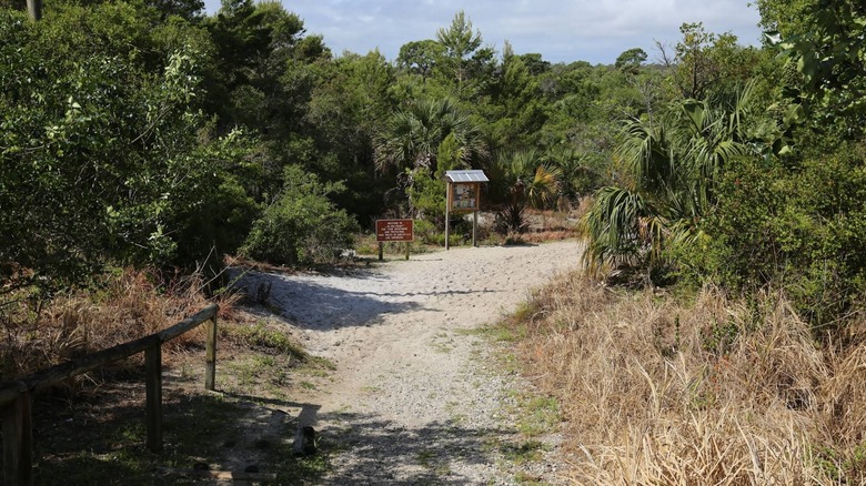 Hiking in Savannas Preserve State Park.