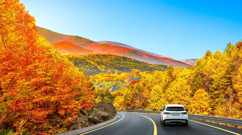 A car driving down a road with fall foliage surrounding