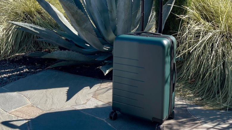 Dark green Quince luggage