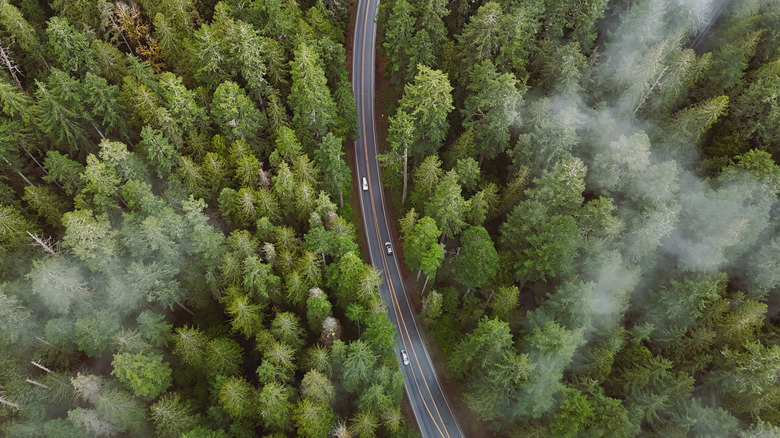 aerial view of Olympic State Park