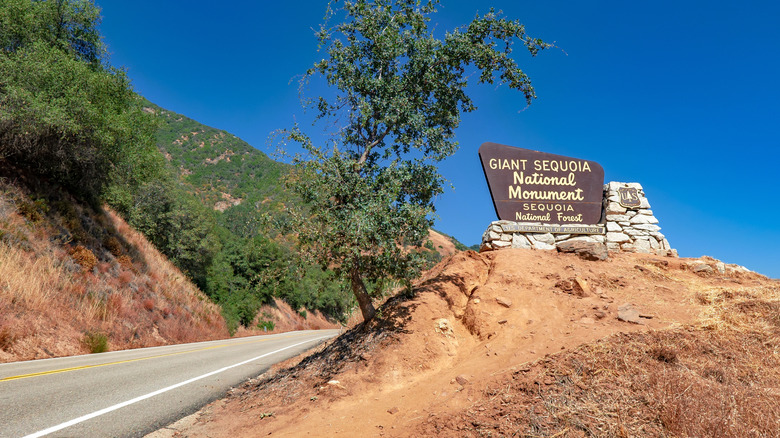The entrance to Sequoia National Forest in California