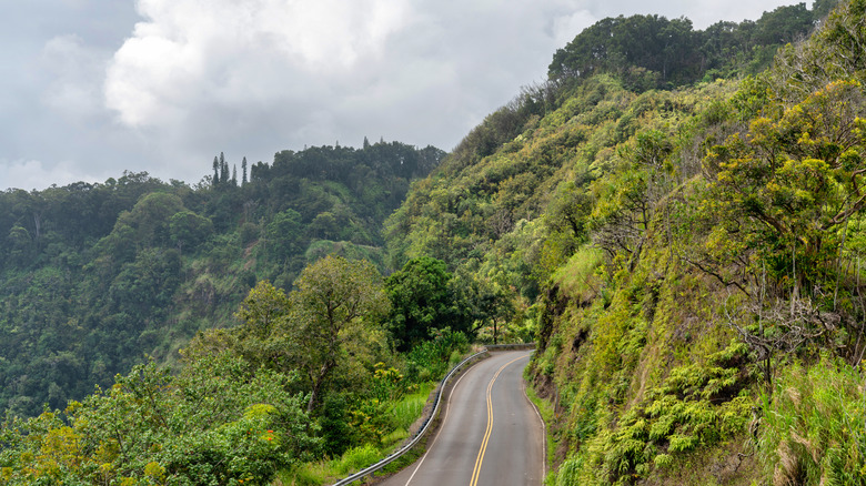 The road to Hana in Maui, Hawaii