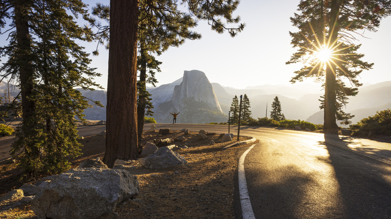 The road through Yosemite National Park