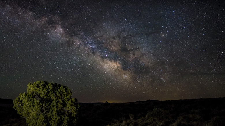 The Milky Way night sky above Big Basin National Park