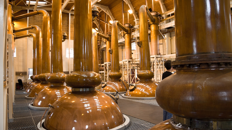 Glenmorangie Whisky distillery copper pots
