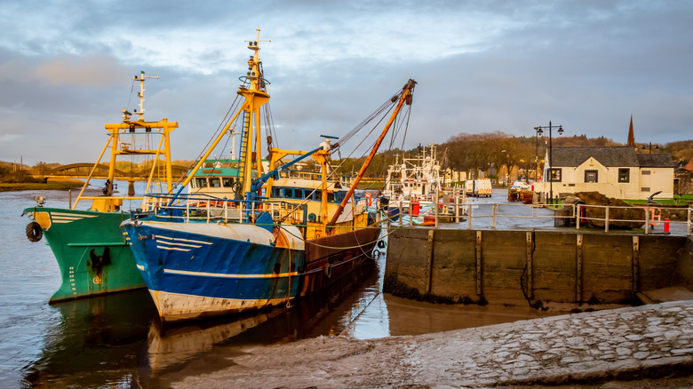Boats at Kirkcudbright harbor and marina at sunset