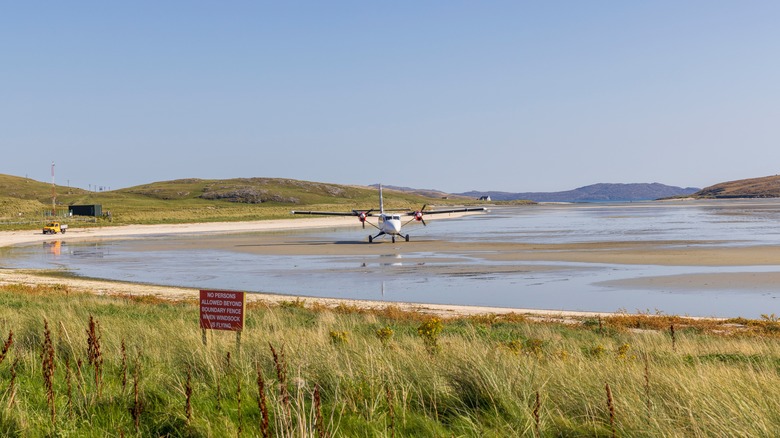 Airplane landing on the beach