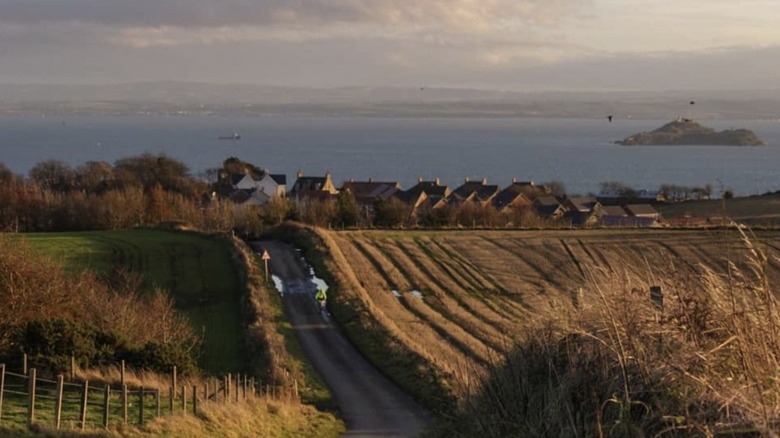 Inland view of the coast in Kinghorn featuring a golden field, with a row of houses in the back, and the bay in the distance during golden hour