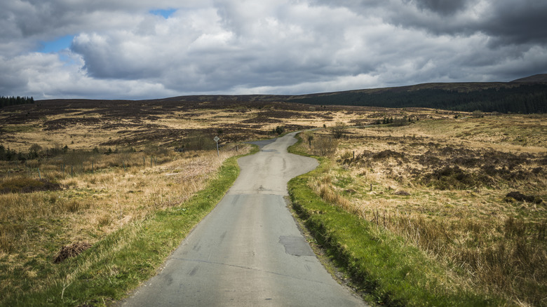 A road cutting through Galloway Forest Park